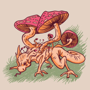 Mushrooms